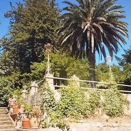 Apartment Beautiful House With Views In Hvar *